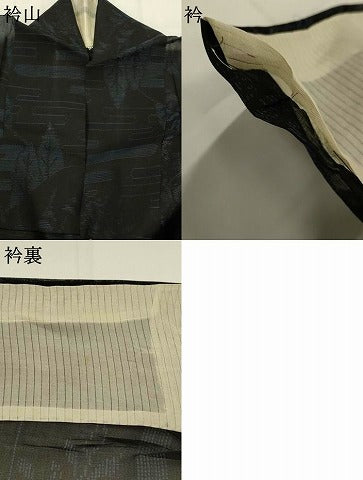 平和屋着物＊夏物　本場大島紬　夏大島　風景文　正絹　逸品　AABJ8789st
