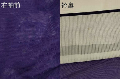 平和屋着物＊夏物　訪問着　絽　草花文　銀彩　洗える着物　AABJ8795st