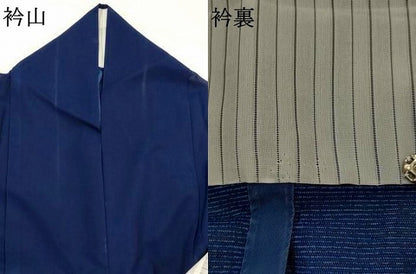 平和屋着物＊夏物　訪問着　絽　舞花文　暈し染め　金彩　洗える着物　AABJ8804st