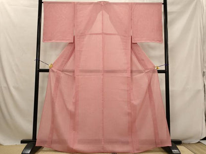平和屋着物＊夏物　江戸小紋　絽　作家物　寄せ小紋柄　反端付き　正絹　逸品　未使用　AABJ8824st