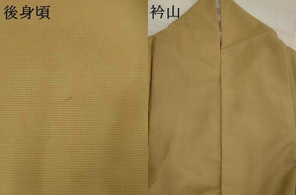 平和屋着物＊夏物　訪問着　絽　唐子　金彩　洗える着物　AABJ8826st