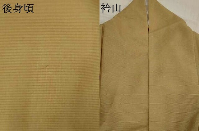 平和屋着物＊夏物　訪問着　絽　唐子　金彩　洗える着物　AABJ8826st