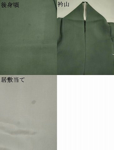 平和屋着物＊夏物　訪問着　絽　刺繍　草花文　銀彩　三越扱い　正絹　逸品　AABJ8829st