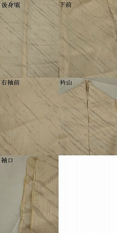 平和屋着物＊夏物　銀座きしや　訪問着　紗　駒刺繍　若松文　金糸　たとう紙付き　正絹　逸品　AABJ8861st