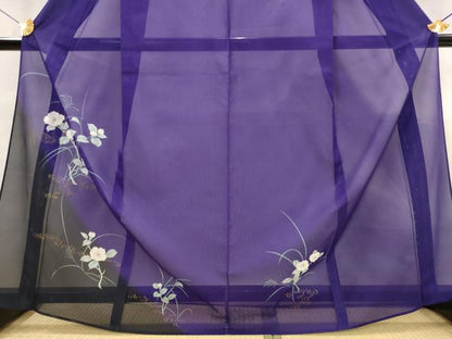 平和屋着物＊夏物　訪問着　絽　枝花文　暈し染め　金彩　洗える着物　AABJ8878st