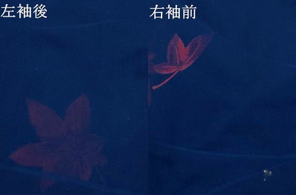 平和屋着物＊夏物　小紋　紗　楓　正絹　逸品　AABJ8893st