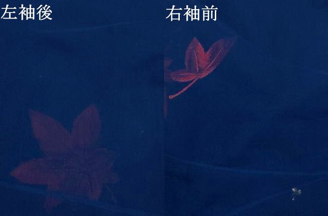 平和屋着物＊夏物　小紋　紗　楓　正絹　逸品　AABJ8893st