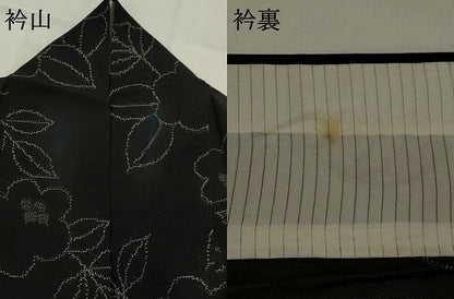 平和屋着物＊夏物　紗紬　舞花文　黒地　正絹　逸品　AABJ8894st
