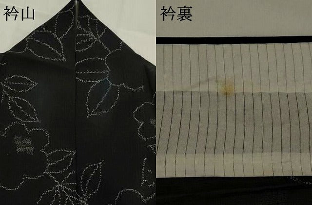 平和屋着物＊夏物　紗紬　舞花文　黒地　正絹　逸品　AABJ8894st