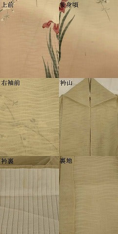 平和屋着物＊夏物　訪問着　友禅　紗　枝花文　暈し染め　正絹　逸品　AABJ8918st