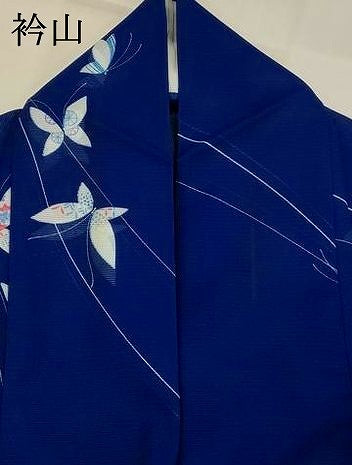 平和屋着物＊夏物　小紋　絽　舞蝶文　洗える着物　AABJ8919st