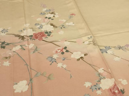 平和屋着物＊夏物　訪問着　絽　枝花文　暈し染め　正絹　逸品　AABJ9019jd