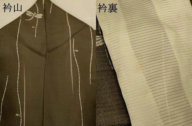 平和屋着物＊夏物　小紋　絽　蜻蛉　暈し染め　AABJ9020jd