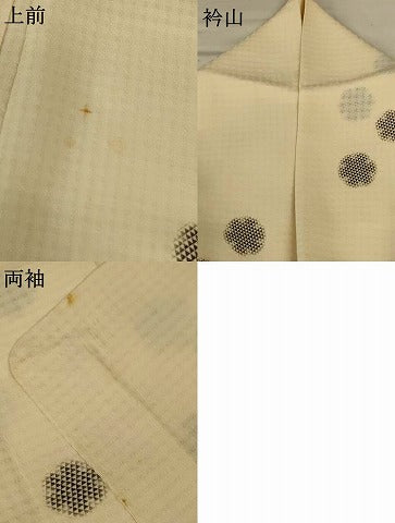 平和屋着物＊夏物　小紋　紗　舞花文　正絹　逸品　AABJ9036jd