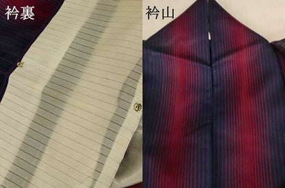 平和屋着物＊夏物　小紋　紗　縞　正絹　逸品　AABJ9051jd