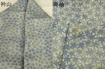 平和屋着物＊夏物　小紋　絽　葉尽くし　正絹　逸品　AABJ9101jd
