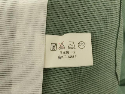 平和屋着物＊夏物　訪問着　絽　壁画文　金彩　洗える着物　AABJ9109jd