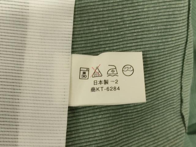 平和屋着物＊夏物　訪問着　絽　壁画文　金彩　洗える着物　AABJ9109jd