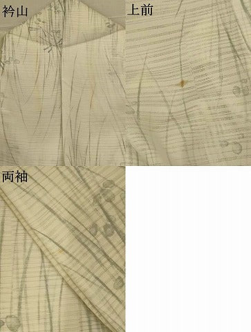 平和屋着物＊夏物　小紋　絽　手描き　草花文　勝虫　洗える着物　AABJ9116jd