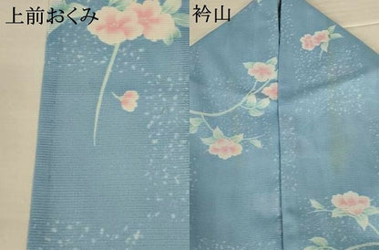平和屋着物＊夏物　小紋　絽　草花文　洗える着物　AABJ9130jd