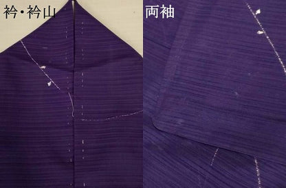 平和屋着物＊夏物　小紋　絽　枝葉文　洗える着物　AABJ9135jd