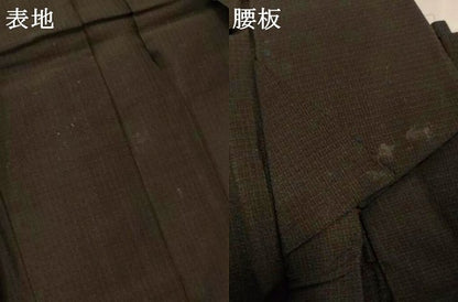 平和屋着物＊夏物　男性　行灯袴　檳榔子染色　正絹　逸品　AABJ9141jd