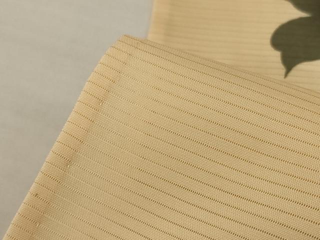 平和屋着物＊夏物　訪問着　絽　葡萄蔦の葉文　暈し染め　正絹　逸品　AABJ9200jd