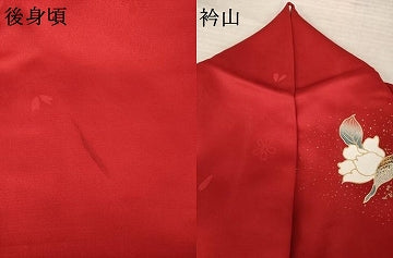 平和屋着物●豪華振袖　枝垂れ花文　暈し染め　金銀彩　正絹　逸品　AABJ9240ck