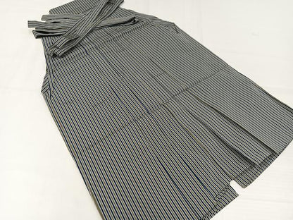 平和屋着物●男性　馬乗り袴　縞　正絹　逸品　AABJ9291ph