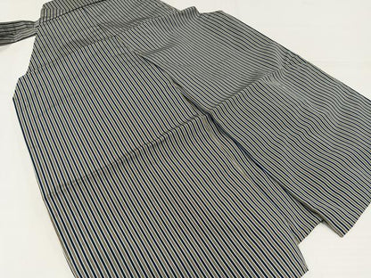 平和屋着物●男性　馬乗り袴　縞　正絹　逸品　AABJ9291ph