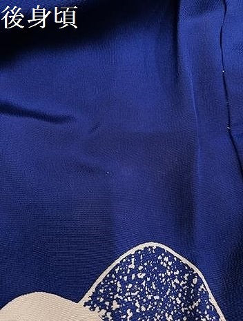 平和屋着物●豪華振袖　型染め　扇面草花文　丹後ちりめん　仮絵羽　逸品　未使用　AABJ9322ph