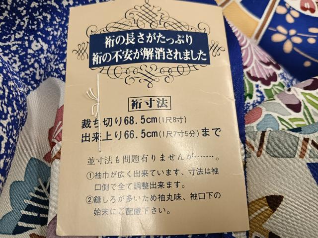 平和屋着物●豪華振袖　型染め　扇面草花文　丹後ちりめん　仮絵羽　逸品　未使用　AABJ9322ph