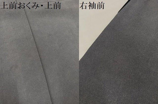 平和屋着物●庭野三樹夫　江戸小紋　極小鮫小紋柄　正絹　逸品　AABJ9410ph