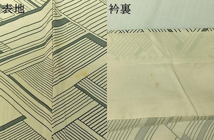 平和屋着物▽上質な小紋　単衣　幾何学文様　正絹　逸品　AABJ9616jh