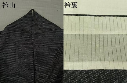平和屋着物▽本塩沢　単衣　110亀甲　花唐草文　正絹　逸品　AABJ9828jh