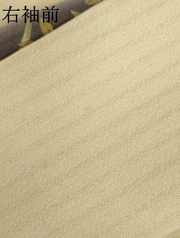 平和屋着物●訪問着　手描き　駒刺繍　草花文　暈し染め　金彩　正絹　逸品　AABJ9887cs