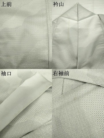 平和屋着物●江戸小紋　お召地　吉祥柄　正絹　逸品　AABJ9890cs
