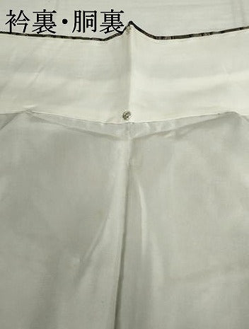 平和屋着物●本場大島紬　龍郷絣　正絹　逸品　AABJ9989cs