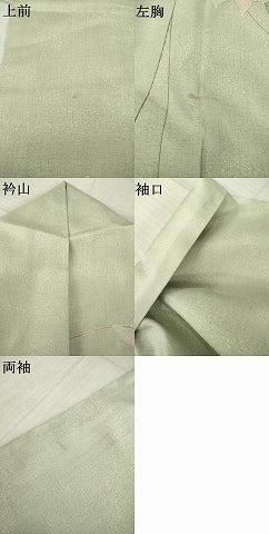 平和屋着物●本場大島紬　染大島　訪問着　枝花文　彩り華　正絹　逸品　AABK0122ck