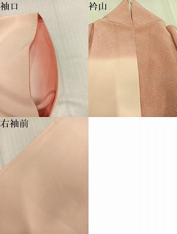 平和屋着物●訪問着　友禅　花鳥文　暈し染め　正絹　逸品　AABK0261ph