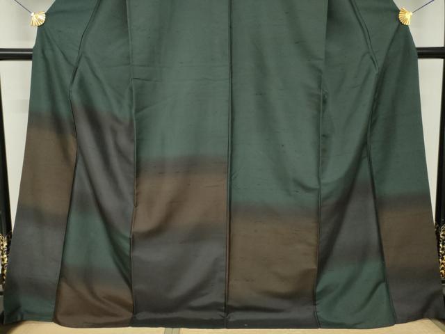 平和屋着物●白山紬　訪問着　霞文　暈し染め　ロング丈　証紙付き　正絹　逸品　AABK0330ck