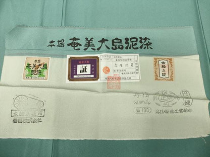 平和屋着物●上質な色無地　本場奄美大島泥染　豆がら茶色　丹後ちりめん　赤塚次男作　反端付き　正絹　逸品　AABK0333ck