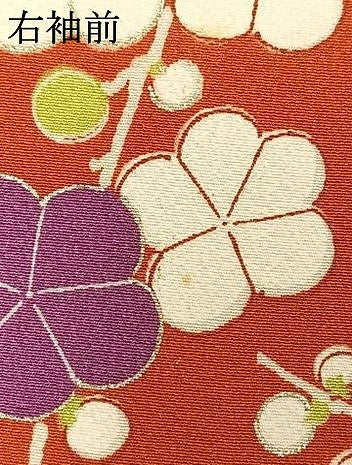 平和屋着物●上質な小紋 枝梅文 金彩 正絹 逸品 AABK1075fy