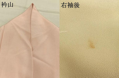 平和屋着物●訪問着　草花文　暈し染め　金彩　正絹　逸品　AABK1078fy