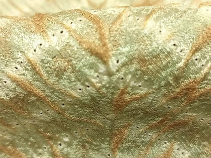 平和屋着物●上質な小紋　杢目絞り　霞文　ロング丈　正絹　逸品　未使用　AABK1115fy