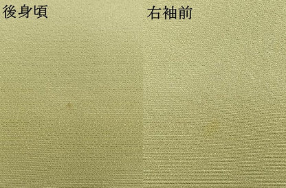 平和屋着物●訪問着　駒刺繍　雪輪花鳥文　暈し染め　金彩　正絹　逸品　AABK1140fy