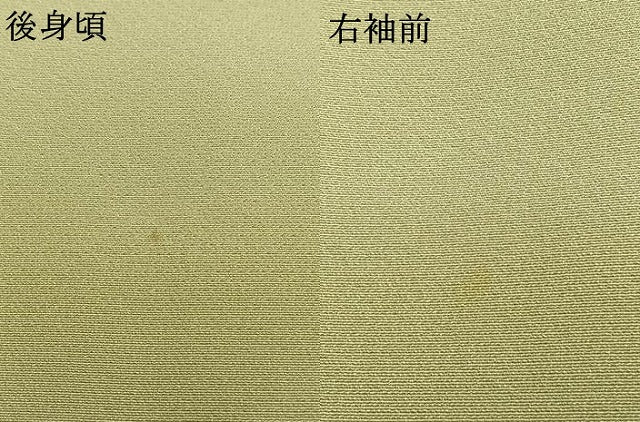 平和屋着物●訪問着　駒刺繍　雪輪花鳥文　暈し染め　金彩　正絹　逸品　AABK1140fy
