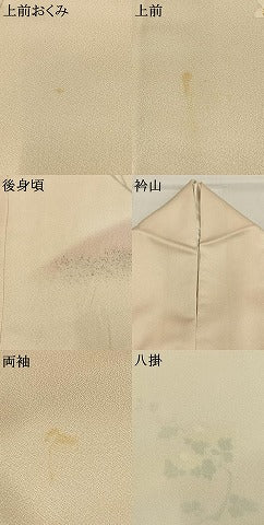 平和屋着物●訪問着　手描き　枝花文　暈し染め　銀彩　正絹　逸品　AABK1168fy