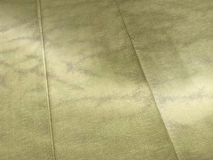平和屋着物●訪問着　本場染大島紬　霞文　正絹　逸品　AABK1302fy