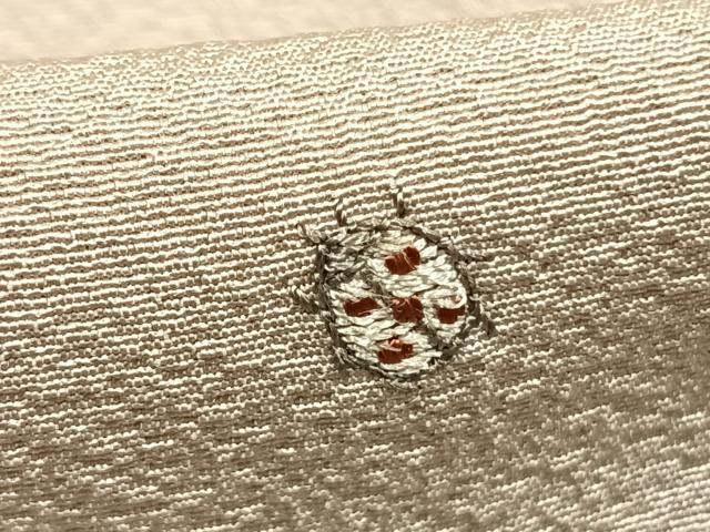 平和屋着物●上質な小紋　総刺繍　てんとう虫　ますいわ屋扱い　正絹　逸品　AABK1307fy